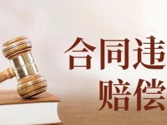 单独针对于背约金能否设立典质担保（典质担保合同签约后典质物如何处罚）